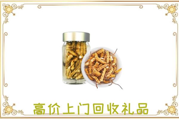 朝阳市周边回收虫草